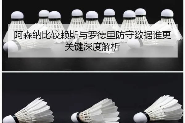阿森纳比较赖斯与罗德里防守数据谁更关键深度解析